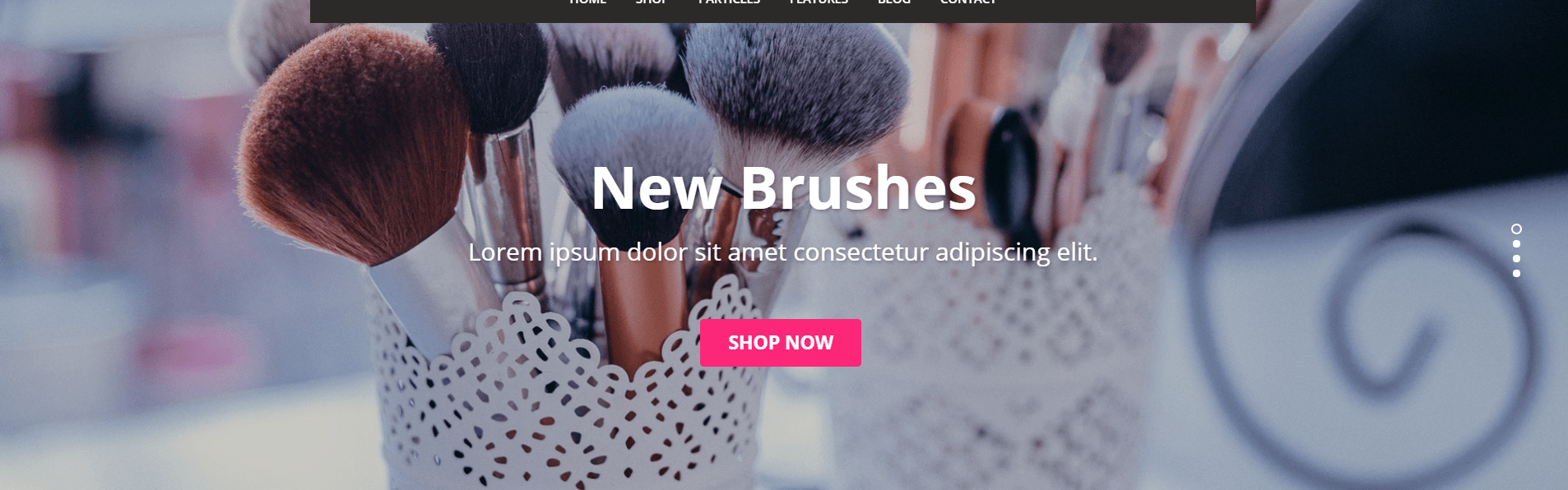 Home page - Slideshow