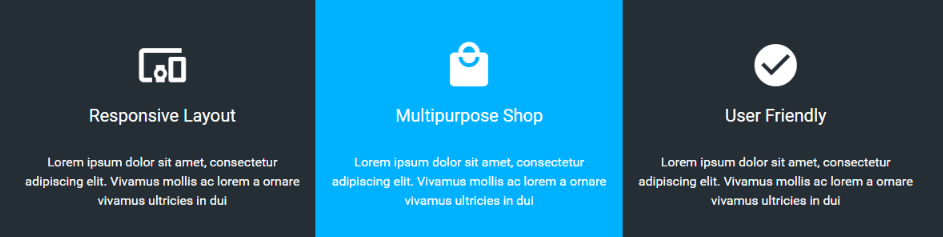 Home page - Boxed Icon