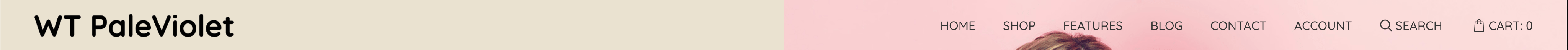 paleviolet header
