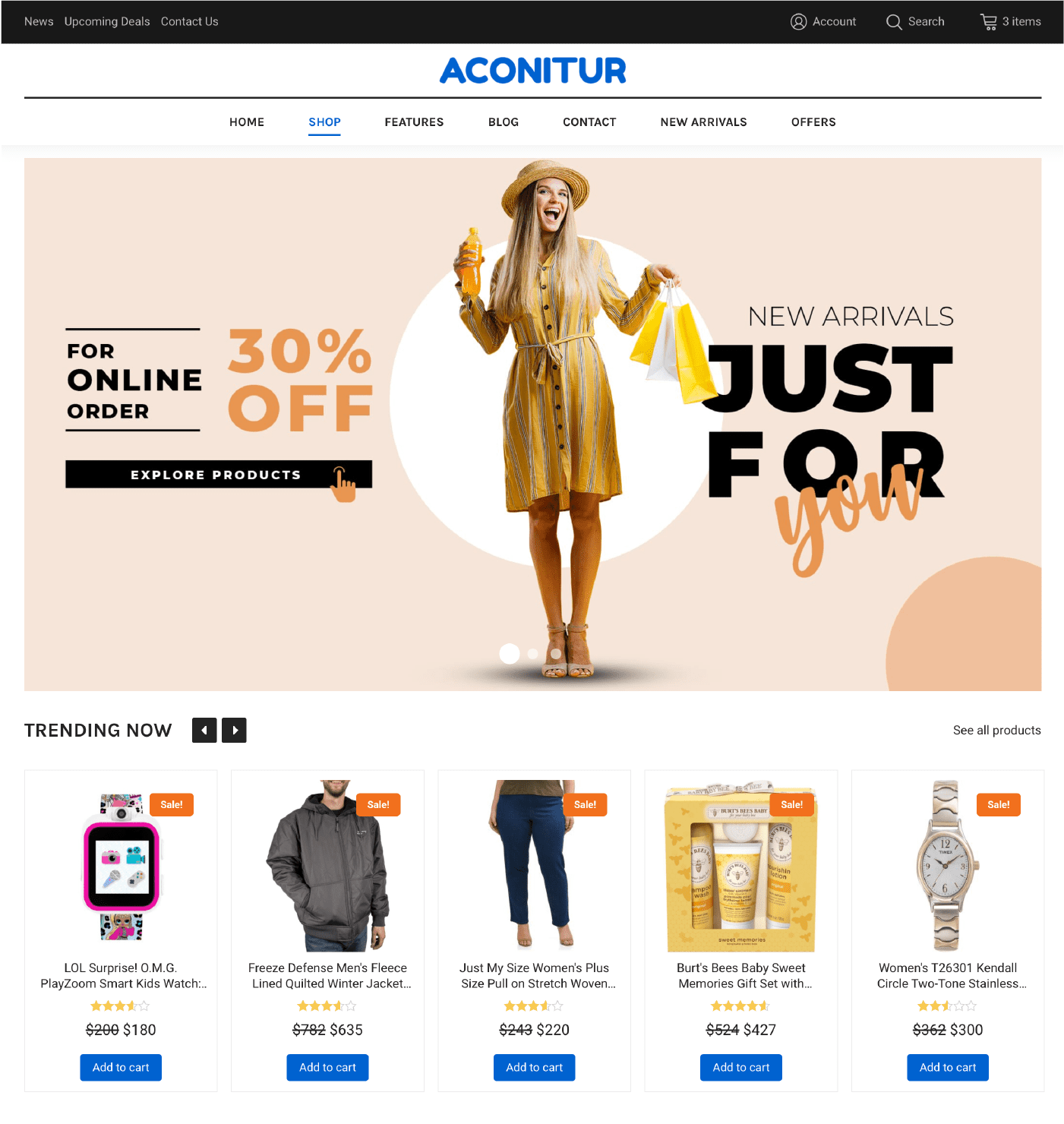 WT Aconitur - WooCommerce Theme