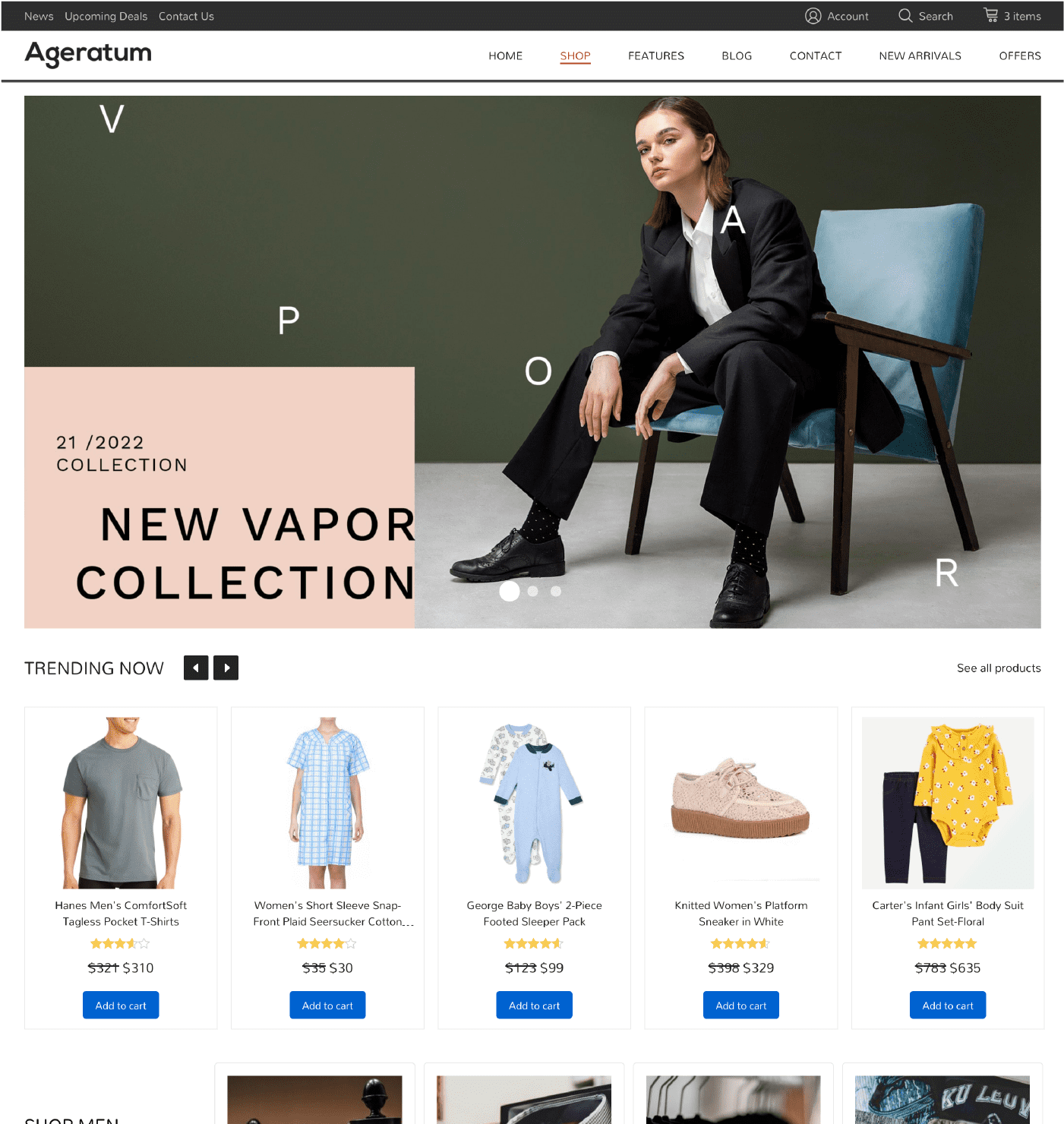 WT Ageratum - WooCommerce Theme