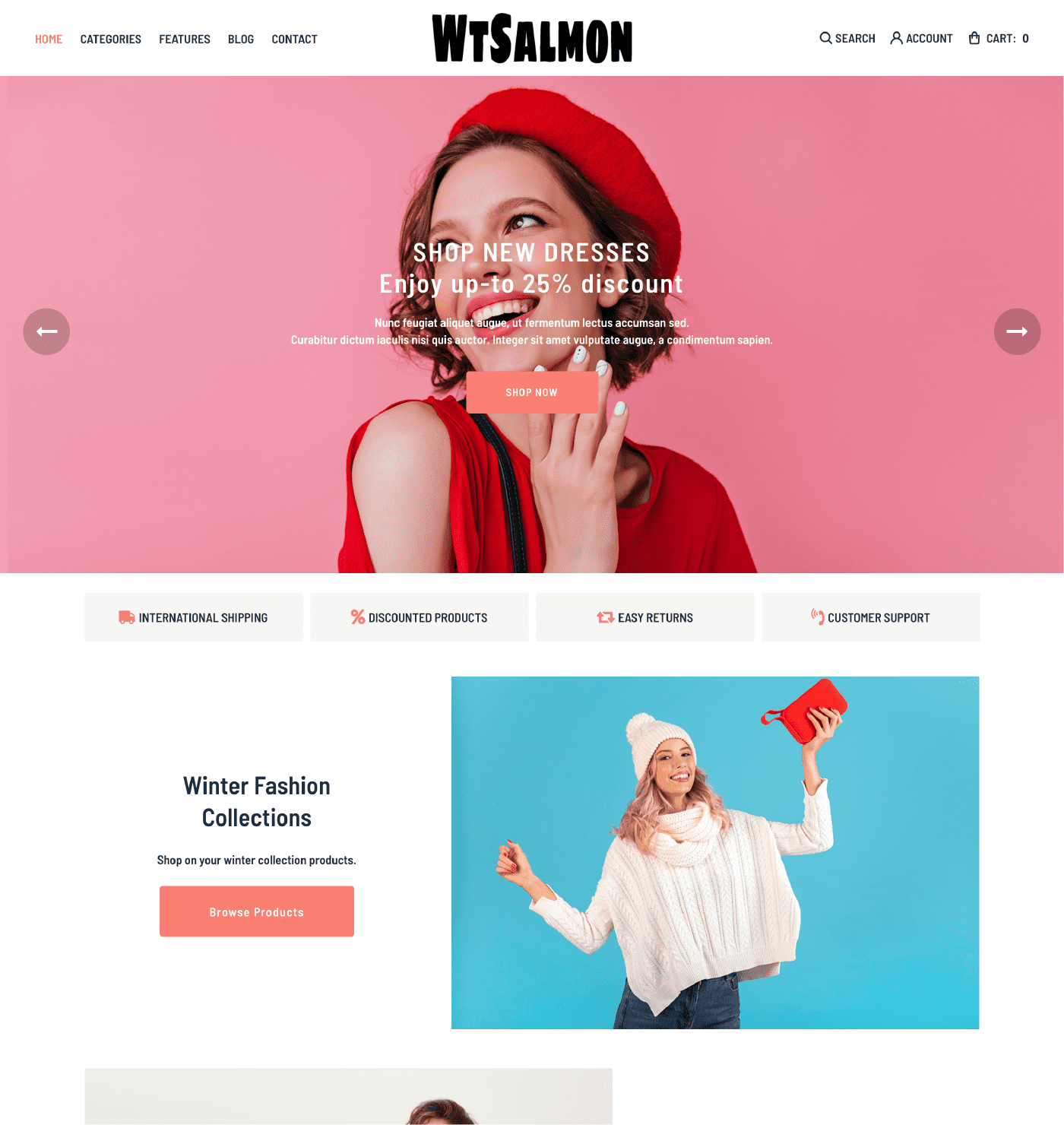 WT Salmon - WooCommerce Theme